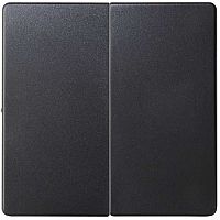 Лицевая панель Simon82 для 2-кл. выключателя графит картинка